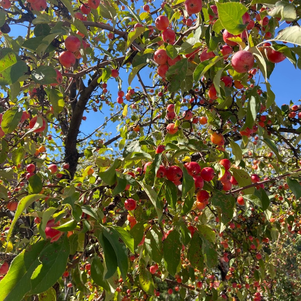 Meet your Posher, Lucy
